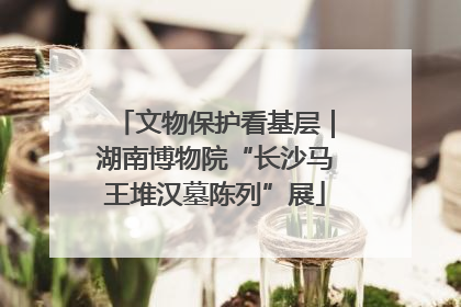 文物保护看基层｜湖南博物院“长沙马王堆汉墓陈列”展