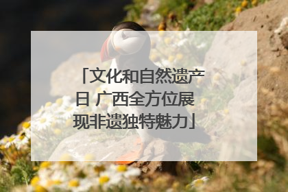 文化和自然遗产日 广西全方位展现非遗独特魅力