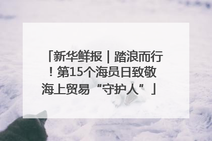 新华鲜报｜踏浪而行！第15个海员日致敬海上贸易“守护人”