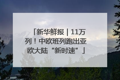新华鲜报｜11万列！中欧班列跑出亚欧大陆“新时速”