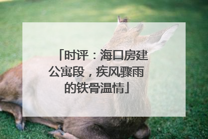时评：海口房建公寓段，疾风骤雨的铁骨温情