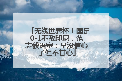 无缘世界杯!国足0-1不敌印尼,范志毅语塞:早没信心了但不甘心