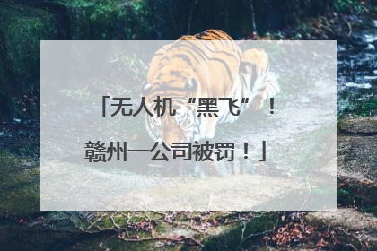 无人机“黑飞”！赣州一公司被罚！