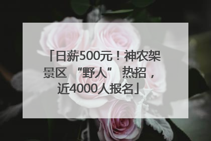 日薪500元！神农架景区 “野人” 热招，近4000人报名
