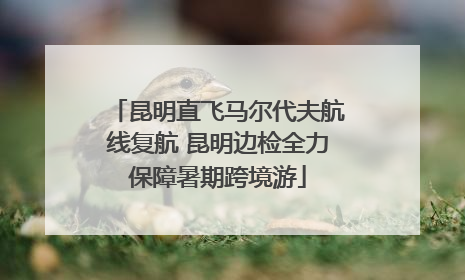 昆明直飞马尔代夫航线复航 昆明边检全力保障暑期跨境游
