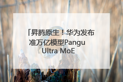 昇腾原生！华为发布准万亿模型Pangu Ultra MoE模型架构和训练细节