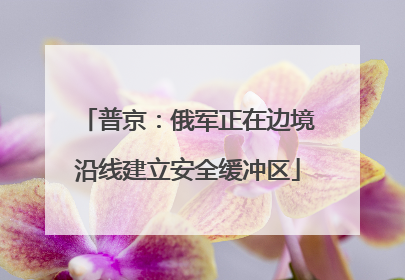 普京：俄军正在边境沿线建立安全缓冲区