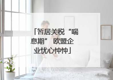 暂居关税“喘息期” 欧盟企业忧心忡忡