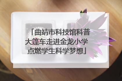 曲靖市科技馆科普大篷车走进金龙小学点燃学生科学梦想