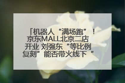 机器人“满场跑”！京东MALL北京二店开业 刘强东“等比例复刻”能否带火线下“618”？