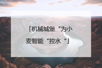 机械城堡“为小麦智能“控水“