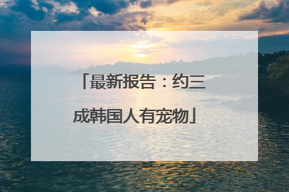 最新报告：约三成韩国人有宠物