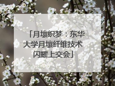 月壤织梦：东华大学月壤纤维技术闪耀上交会