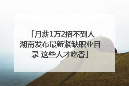 月薪1万2招不到人 湖南发布最新紧缺职业目录 这些人才吃香