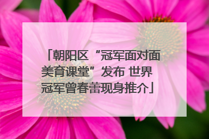 朝阳区“冠军面对面美育课堂”发布 世界冠军曾春蕾现身推介