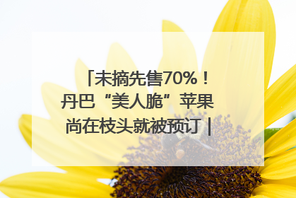 未摘先售70%！丹巴“美人脆”苹果尚在枝头就被预订｜长征路上看四川