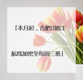 本月起，合肥⇋镇江航线加密至每周三班