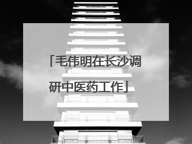 毛伟明在长沙调研中医药工作