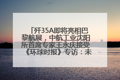 歼35A即将亮相巴黎航展，中航工业沈阳所首席专家王永庆接受《环球时报》专访：未来数量可以有很多