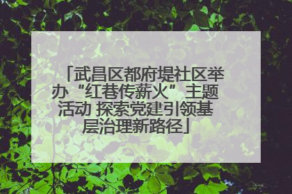 武昌区都府堤社区举办“红巷传薪火”主题活动 探索党建引领基层治理新路径