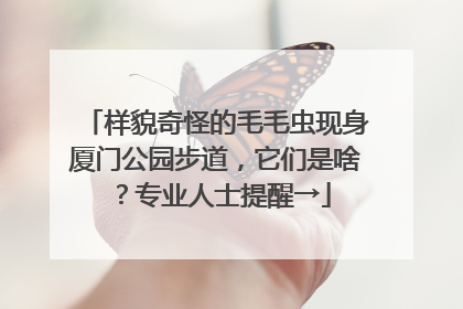 样貌奇怪的毛毛虫现身厦门公园步道，它们是啥？专业人士提醒→