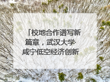 校地合作谱写新篇章，武汉大学·咸宁低空经济创新研究院签约成立