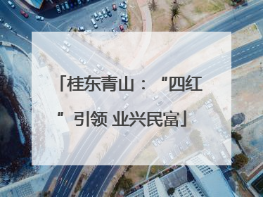 桂东青山：“四红”引领 业兴民富