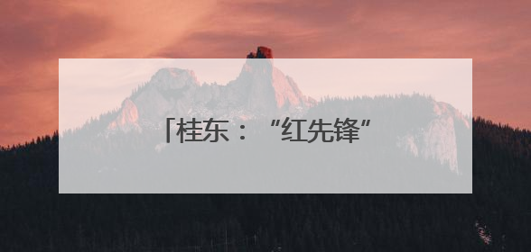 桂东：“红先锋”邓耀明的油茶梦