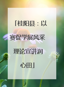 桂阳县：以赛促学展风采 理论宣讲润心田