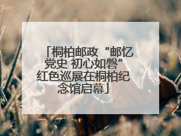 桐柏邮政“邮忆党史 初心如磐”红色巡展在桐柏纪念馆启幕