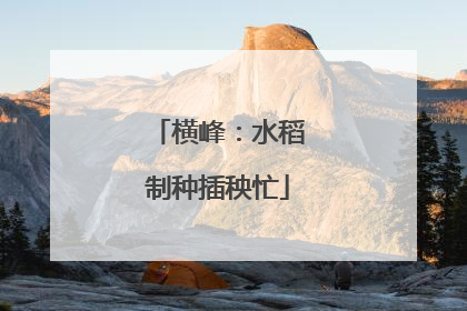 横峰：水稻制种插秧忙