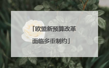 欧盟新预算改革面临多重制约