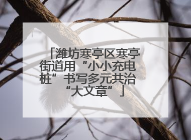 潍坊寒亭区寒亭街道用“小小充电桩”书写多元共治“大文章”