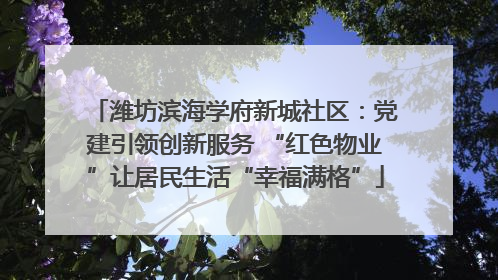 潍坊滨海学府新城社区：党建引领创新服务 “红色物业”让居民生活“幸福满格”