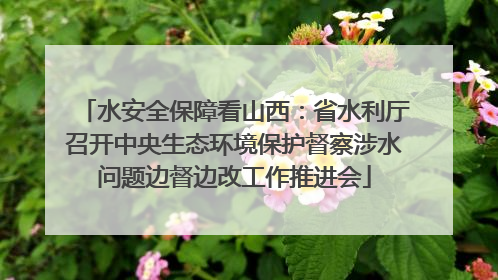 水安全保障看山西：省水利厅召开中央生态环境保护督察涉水问题边督边改工作推进会