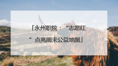 永州职院：“志愿红”点亮周末公益地图
