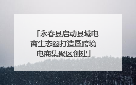 永春县启动县域电商生态圈打造暨跨境电商集聚区创建