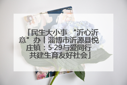 民生大小事 “沂心沂意”办丨淄博市沂源县悦庄镇：5·29与爱同行 共建生育友好社会