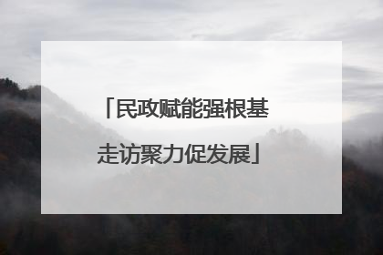 民政赋能强根基 走访聚力促发展