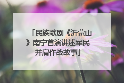 民族歌剧《沂蒙山》南宁首演讲述军民并肩作战故事