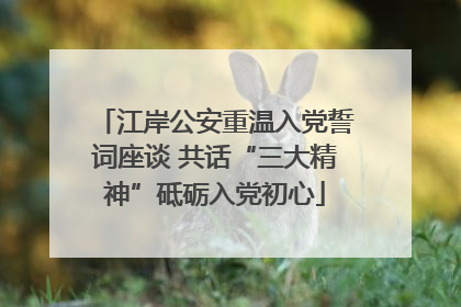 江岸公安重温入党誓词座谈 共话“三大精神”砥砺入党初心