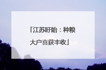 江苏盱眙：种粮大户喜获丰收