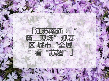 江苏南通：“第二现场”观赛区 城市“全域”看“苏超”
