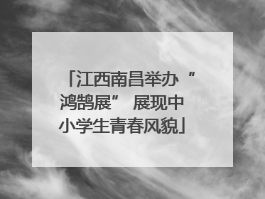 江西南昌举办“鸿鹄展” 展现中小学生青春风貌