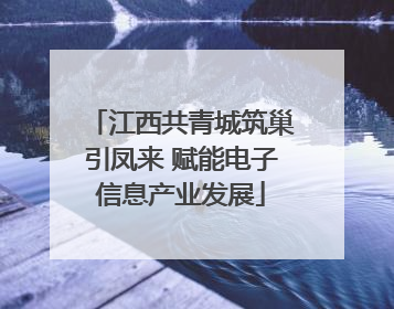 江西共青城筑巢引凤来 赋能电子信息产业发展