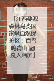 江西婺源森林鸟类国家级自然保护区：百鸟鸣青山 翩跹入画屏