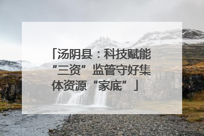 汤阴县：科技赋能“三资”监管守好集体资源“家底”
