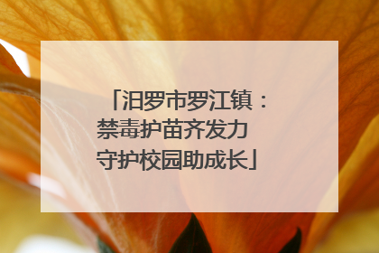 汨罗市罗江镇：禁毒护苗齐发力 守护校园助成长