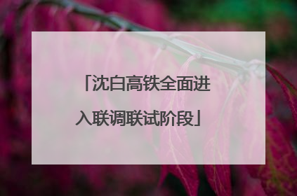沈白高铁全面进入联调联试阶段