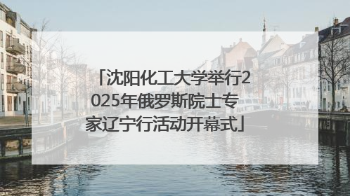 沈阳化工大学举行2025年俄罗斯院士专家辽宁行活动开幕式
